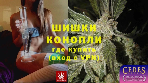 a pvp Богданович