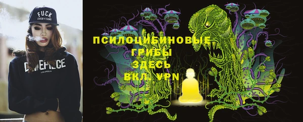 a pvp Богданович